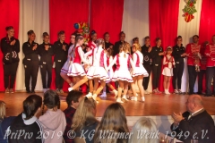 PriPro-2019-038