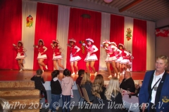 PriPro-2019-067