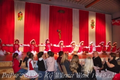 PriPro-2019-074