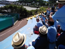 Scaer_HP_20190608_1554_93
